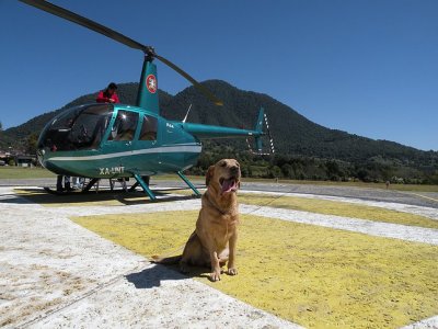 Vuelo helicóptero 24m sobre Isla Mujeres y Cancún