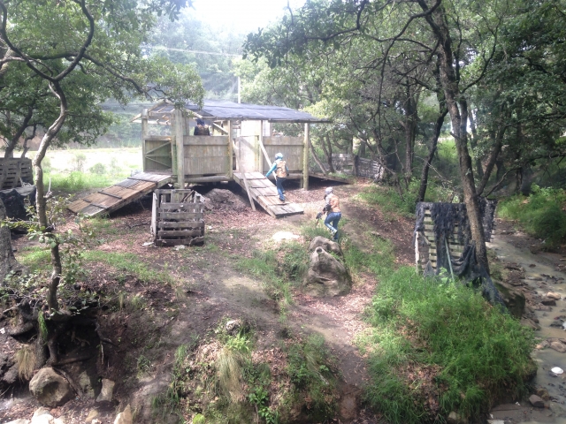  Foresta 