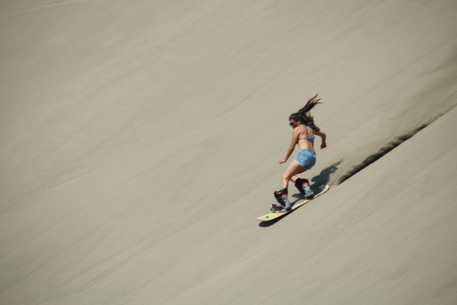  Sandboard 