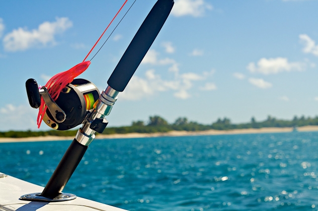  Canna da pesca