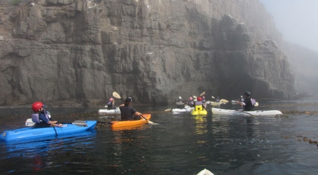 Kayak 