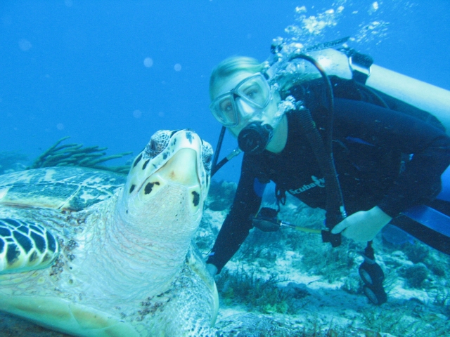  Underwater fauna observation 