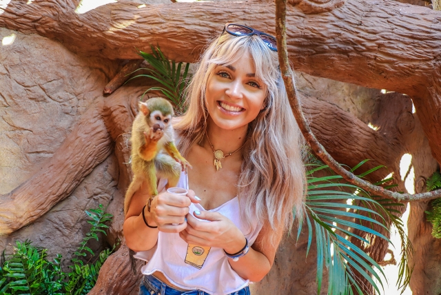  Meeting jungle animals 