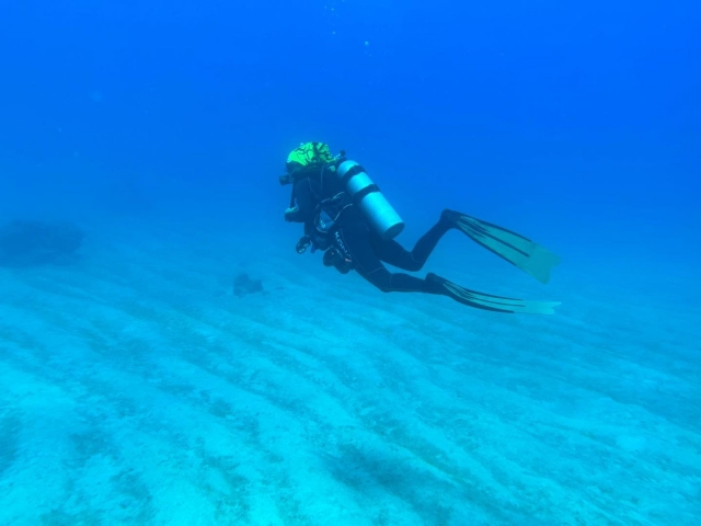  Diving courses 