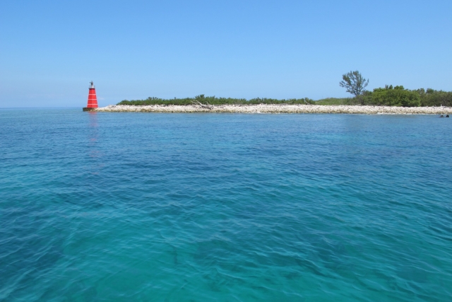  The lighthouse 