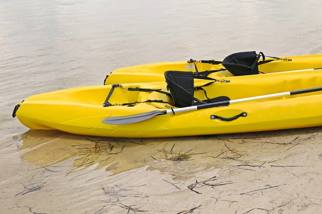  Kayak team