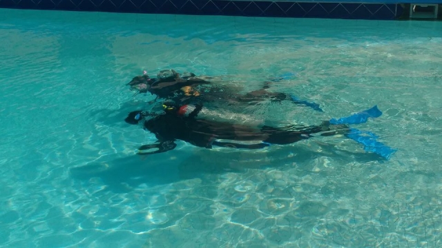  Snorkel 