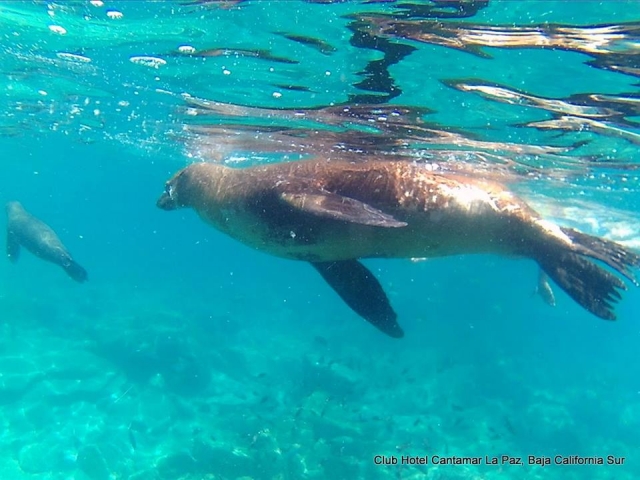  View of snorkelling activity 