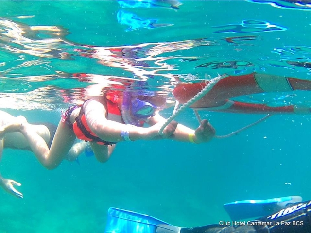  Snorkeling 