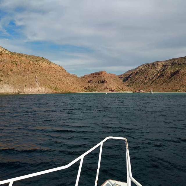  View of activities 