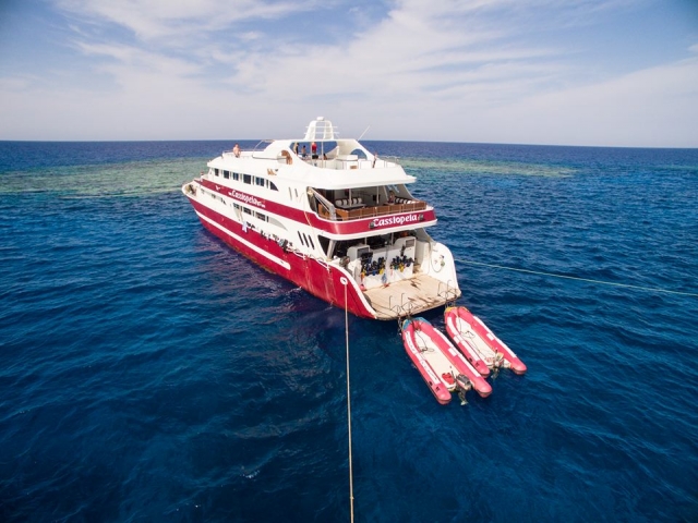  Our boat for rent 