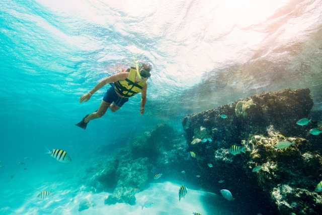 Practicando Snorkeling Isla Mujeres 