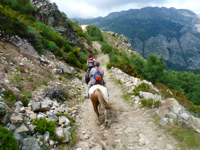  équitation en montagne 