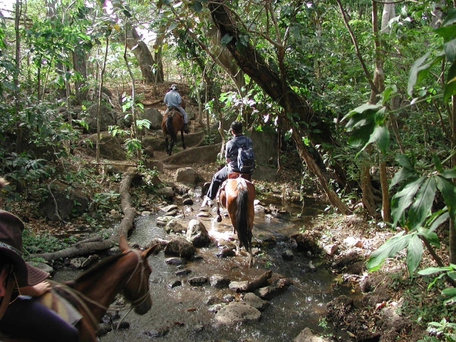  équitation en forêt 