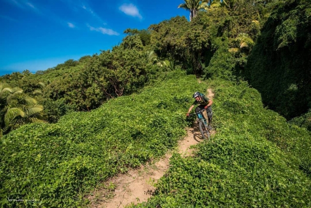  Tour in Nayarit 