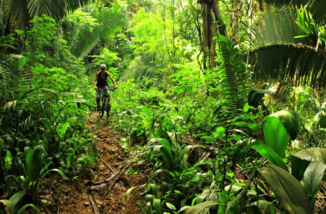  Mountainbike 
