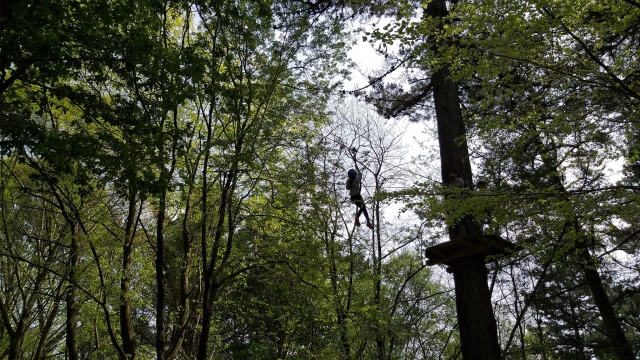 Tirolesa entre los árboles