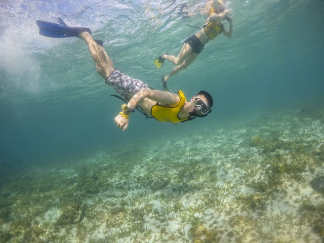  Schnorcheln im offenen Meer 