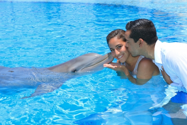 Enjoying with the dolphin 