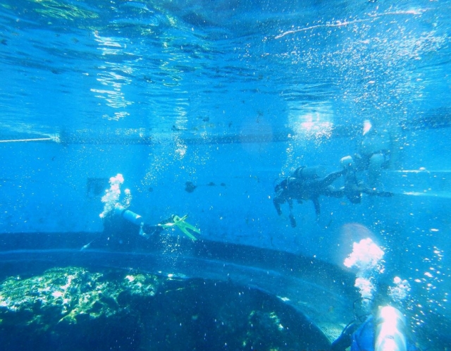 e-19653480-buceo-en-la-alberca14882976779133.jpg