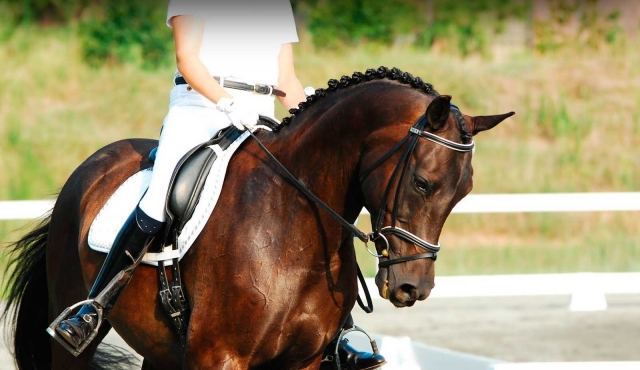 Be a High School rider 