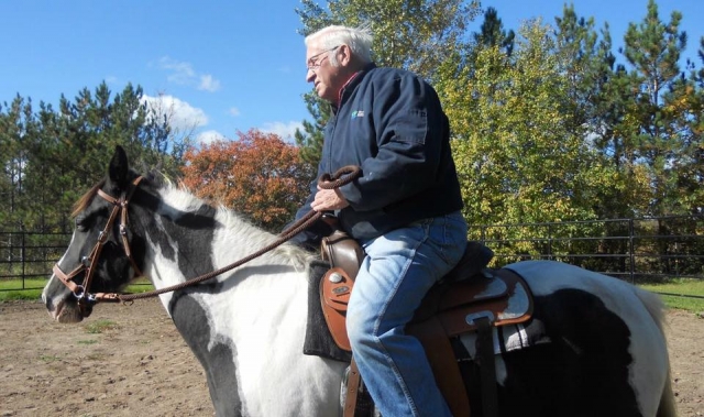 Breed horses 