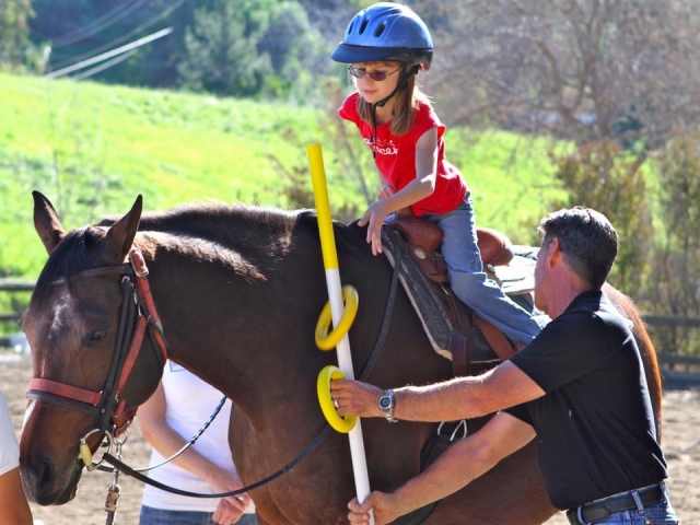  Courses for the little ones 