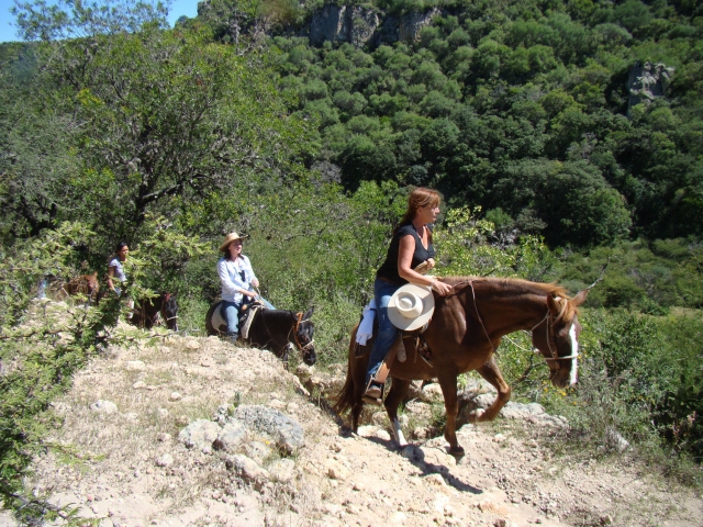 Subida a caballo