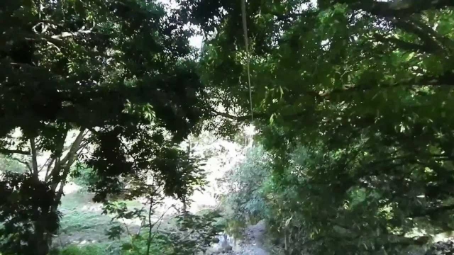  Jalcomulco 