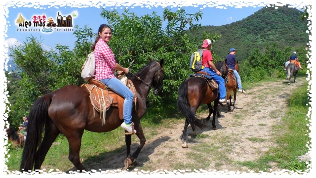  Ecotourism Horse Ride 