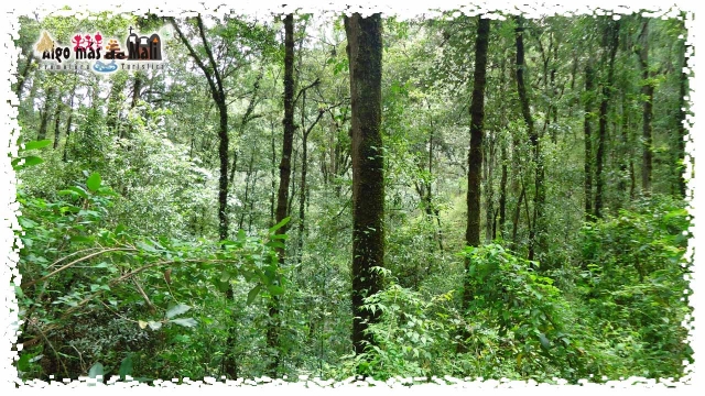  Ecotourism Trails and Landscaping Waterfalls 