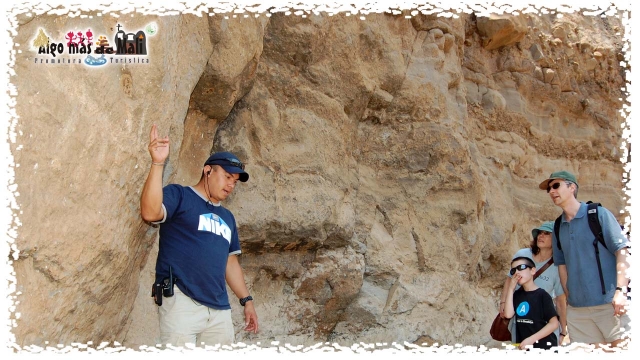  Guided Tour Cave Paintings 
