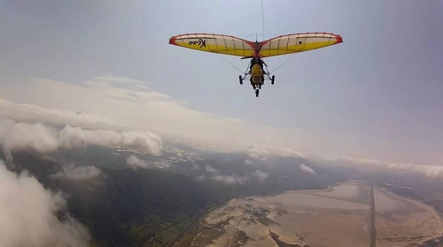  Fly like a bird 