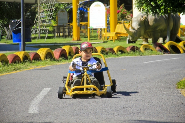 Mini Karts