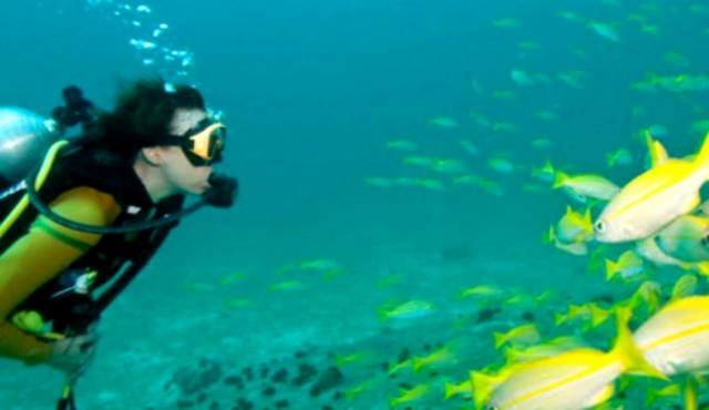  How beautiful it is to dive 