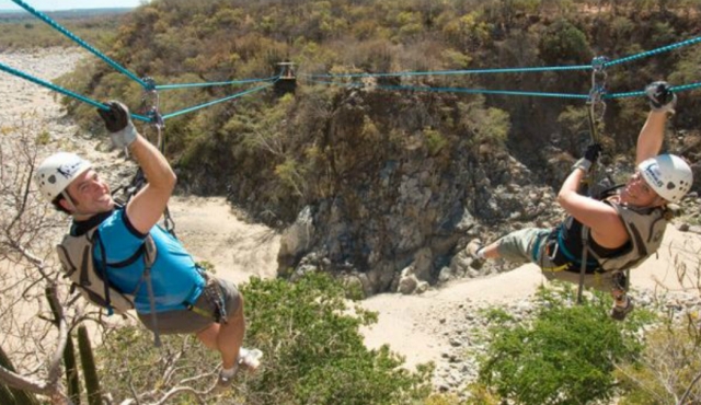  Canopy adventurers 