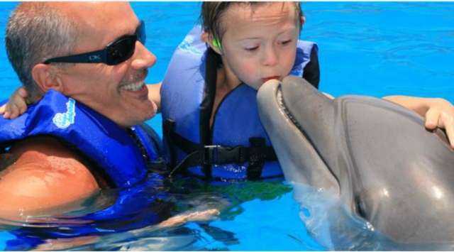  Activity with dolphins 