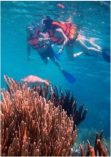  Snorkeling a Isla Mujeres 
