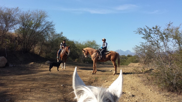 La tua avventura a cavallo 