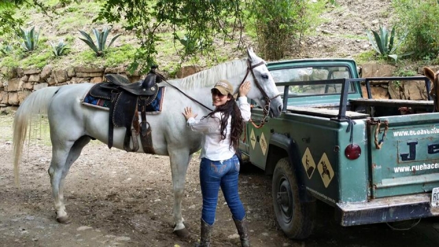 Elige tu caballo