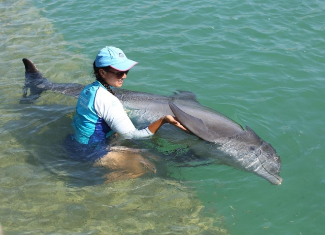 Stroking the dolphin's fin 