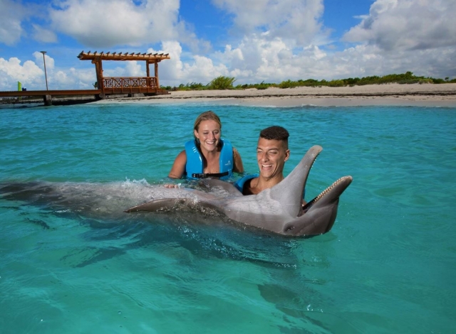  Experience with dolphins as a couple 
