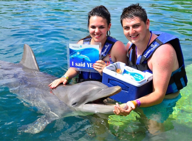 Marriage request with dolphins