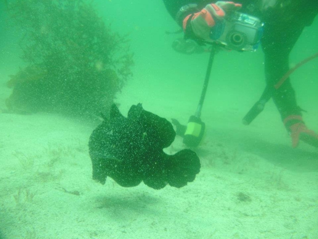  Fotografieren Sie, was Sie wollen 