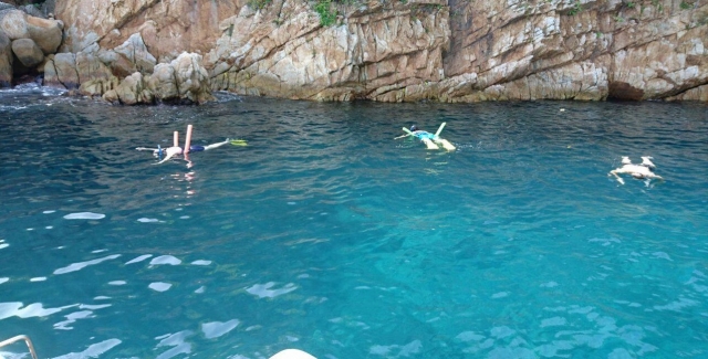  Descobrindo a fauna marinha de Acapulco 