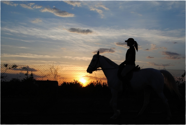 Backlit