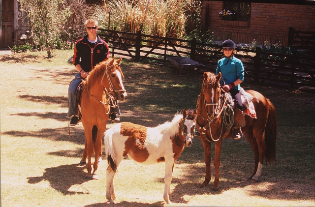 Enjoy the horses