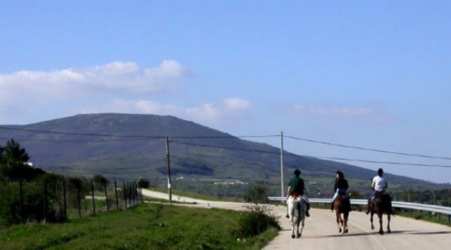 Routes through nature