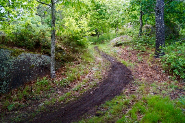 On natural paths