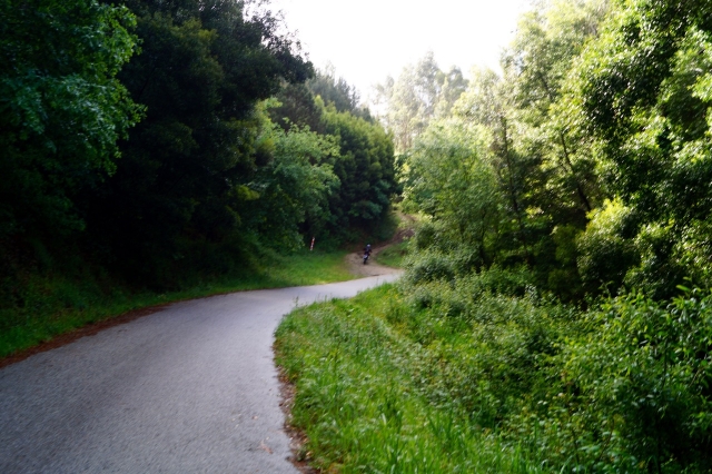 Bike route
